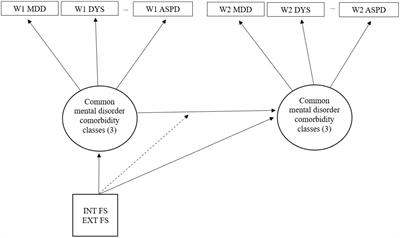 The validity of transdiagnostic factors in predicting homotypic and heterotypic continuity of psychopathology symptoms over time